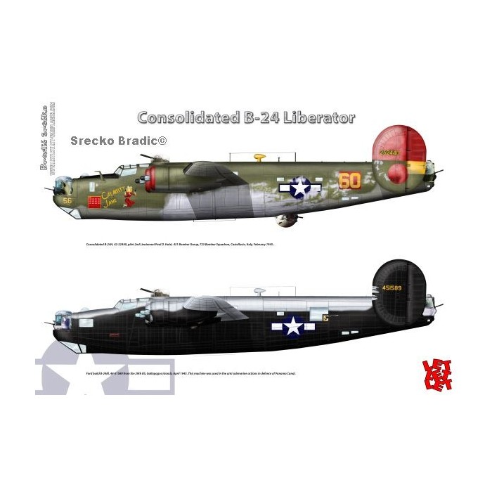 B-24 print by Srecko Bradic