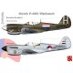 Warhawk in Dutch Service A3 print by Srecko Bradic