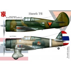 Curtiss Hawk 75 - A3 print by Srecko Bradic