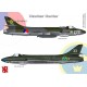 Hawker Hunter - A3 print by Srecko Bradic