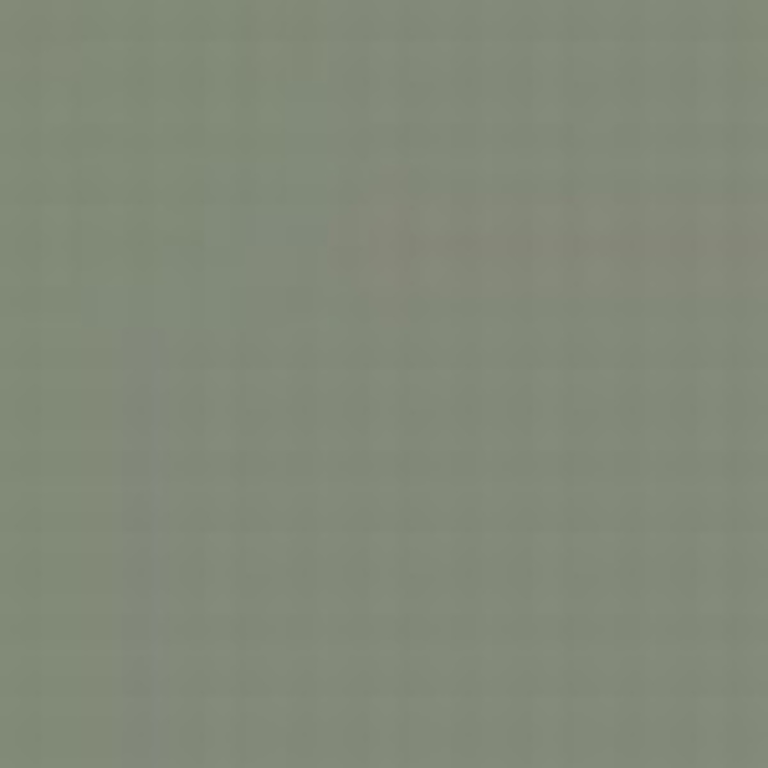 Grey RLM 02 / Grau RLM 02