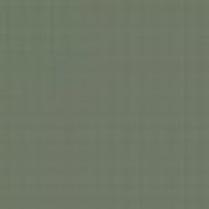 Grey RLM 63 / Grau RLM 063