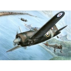 Brewster model 339B/E Buffalo Mk.I - 1/72 kit