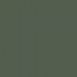 Olive Green RLM 80 / Olivgrun RLM 80 akrylová barva