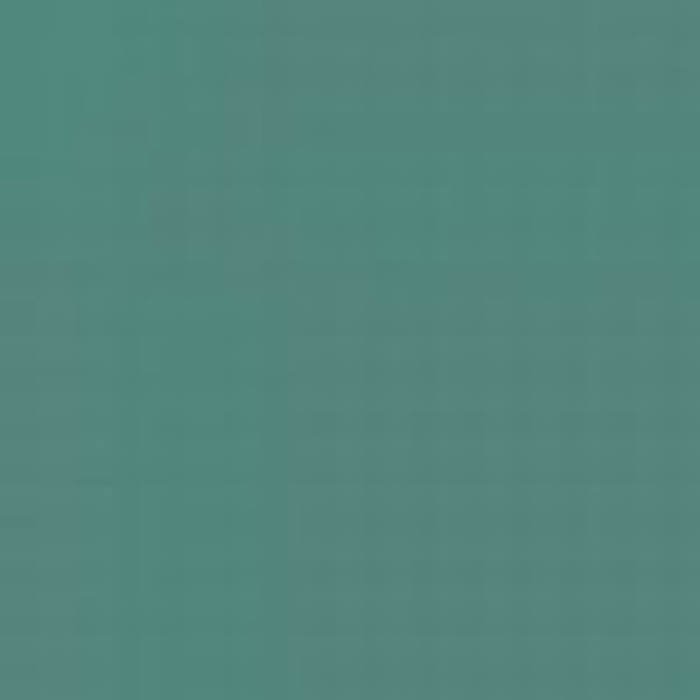 Light Green RLM 25 / Hellgrun RLM 25
