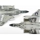 USN F-4J Showtime 100 - 1/72 kit