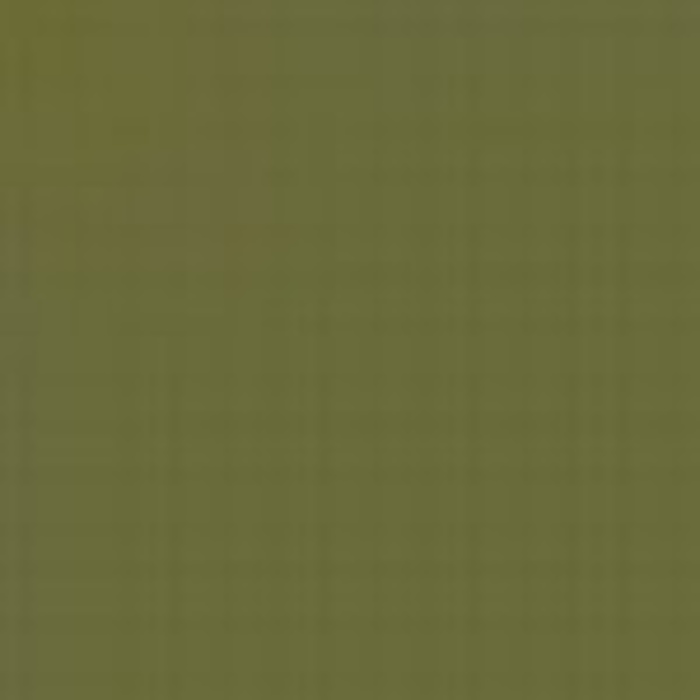 Olive green RAL 6003 akrylová barva