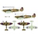 Supermarine Spitfire Mk.II LR - 1/72 kit