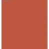 Light Rust Pigment