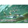 MiG-29 Fulcrum A Czech and Slovak Service - 1/48 kit