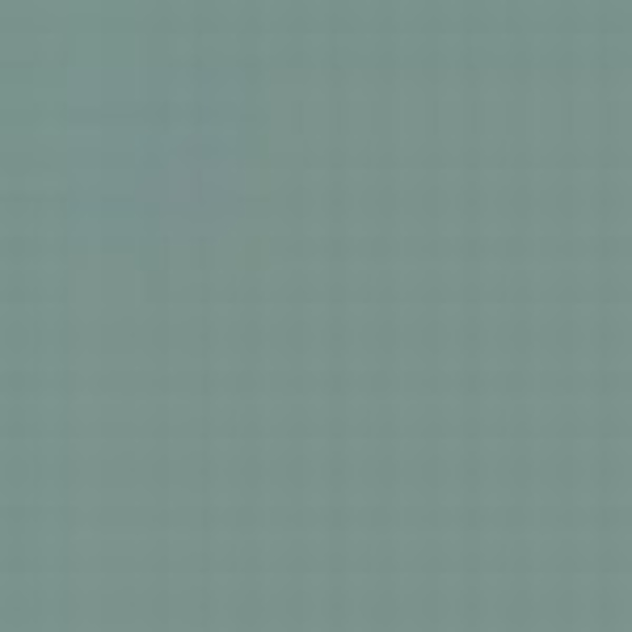 Light Blue AMT 17