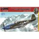 P-51B Mustang  E.Heller - 1/72 kit