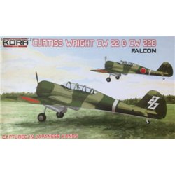 Curtiss-Wright CW-22 & CW-22B Falcon Japanese - 1/72 kit