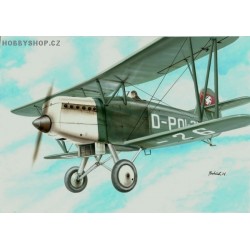 Arado Ar 65 Luftpolizei - 1/72 kit