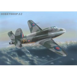 Gloster E.28/39 Pioneer - 1/48 kit