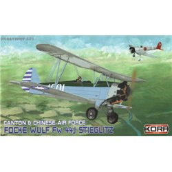 Focke-Wulf Fw 44J Chinese A.F. - 1/72 kit