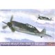 Focke-Wulf Fw 190S-5 - 1/72 kit