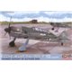 Focke-Wulf Fw 190S-8 Late - 1/72 kit