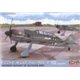 Focke-Wulf Fw 190S-8 Late - 1/72 kit