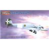 Saiman 202M Italian Liason & Courier - 1/72 kit