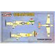 Saiman 202M Foreign Service - 1/72 kit