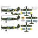 Arado Ar 396 - 1/72 kit