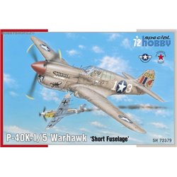 P-40K-1/5 Warhawk Short Tail - 1/72 kit