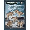 Space Wolves Fenrisian Wolf Pack