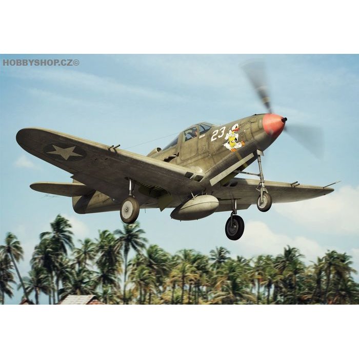 P-39 D-F-K Airacobra - 1/144 kit