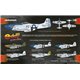 P-51D Excalibur - 1/48 kit