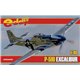 P-51D Excalibur - 1/48 kit