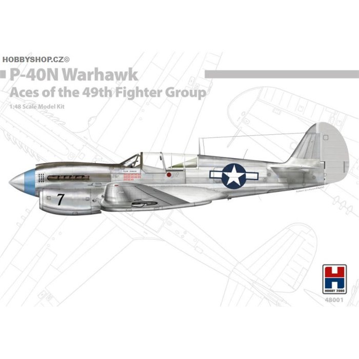P-40N Warhawk Aces of the 49th FG - 1/48 kit