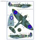 The Spitfire Mk.Ia and Mk.Vb with drawings 313th Sq - 1/72 decals