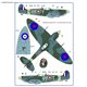 The Spitfire Mk.Ia and Mk.Vb with drawings 313th Sq - 1/72 decals