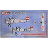 Fiat C.R.20B Austrian & German Service - 1/72 kit