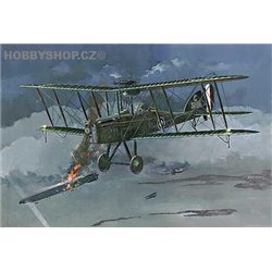 RAF BE 12b - 1/48 kit