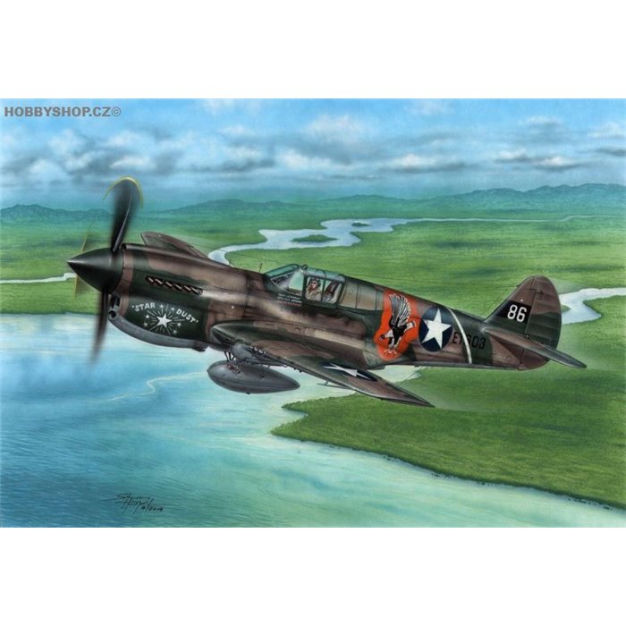 P-40E Warhawk 'Claws and Teeth' - 1/72 kit