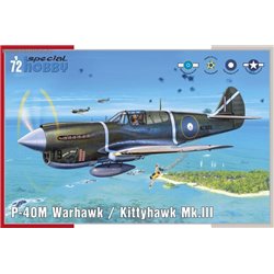P-40M Warhawk - 1/72 kit