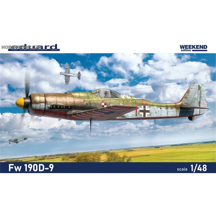 Fw 190D-9 Weekend - 1/48 kit