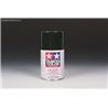 TS-2 Dark Green 100ml spray