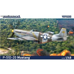 P-51D-20 Mustang Weekend - 1/48 kit