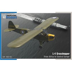 L-4 Grasshopper ‘From Africa to Central Europe’ - 1/48 kit