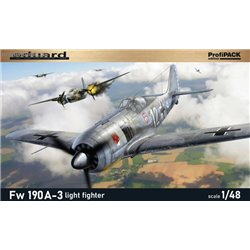 Fw 190A-3 light fighter - 1/48 kit