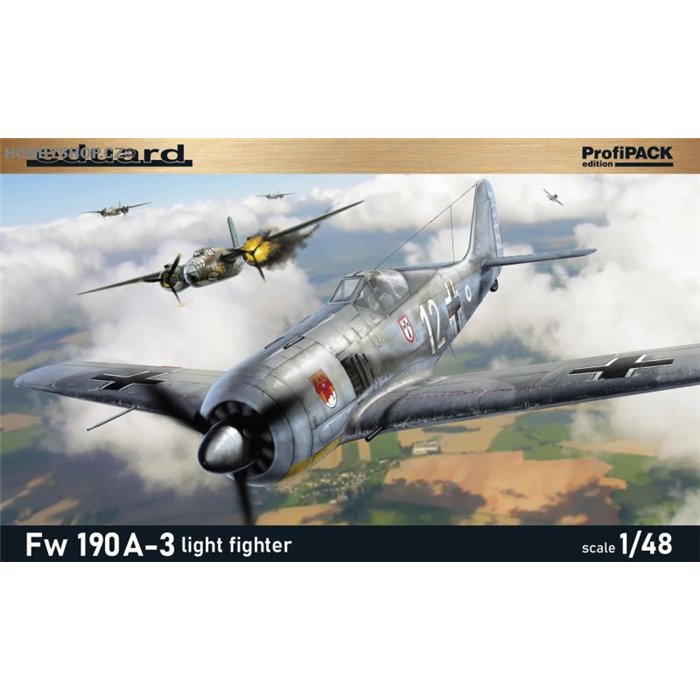Fw 190A-3 light fighter - 1/48 kit