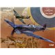 SPITFIRE STORY: MALTA DUAL COMBO Limited - 1/48 kit