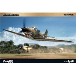 P-400 ProfiPack - 1/48 kit