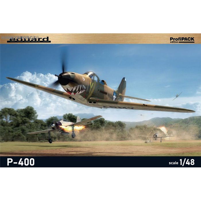 P-400 ProfiPack - 1/48 kit