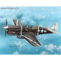 P-40F Warhawk Guadalcanal Hawks - 1/72 kit
