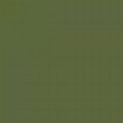 Light Olive Green Alcohol Paint