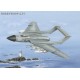 D.H. Sea Vixen FAW.1 - 1/72 kit